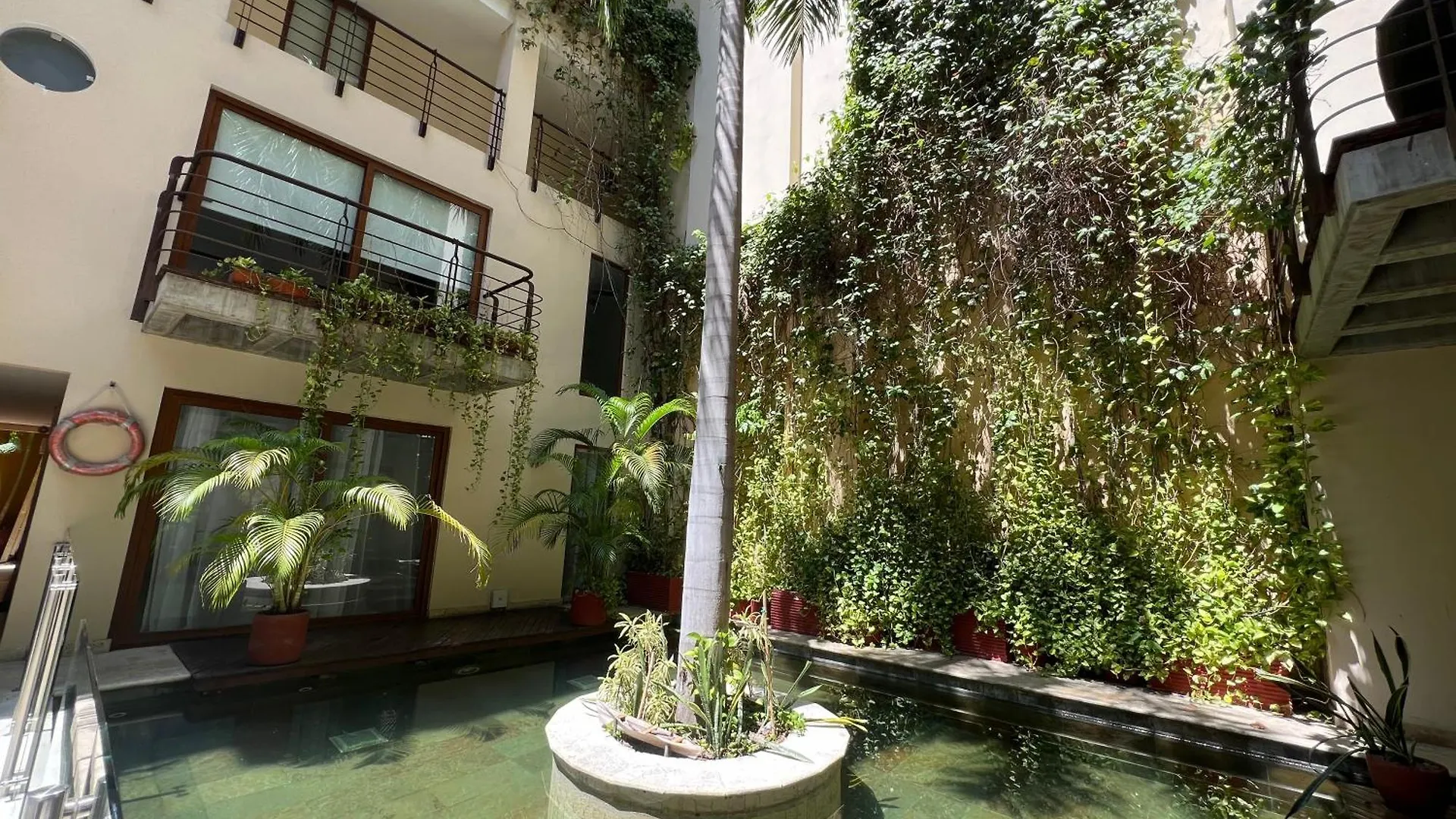 The Coolest Apartment In Centro Historico Santa Marta   Santa Marta (Magdalena)